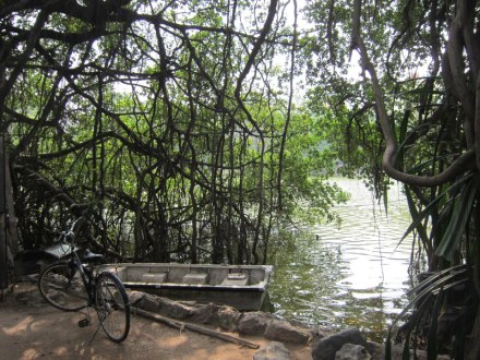 550575_10151297026675984_1203179577_n